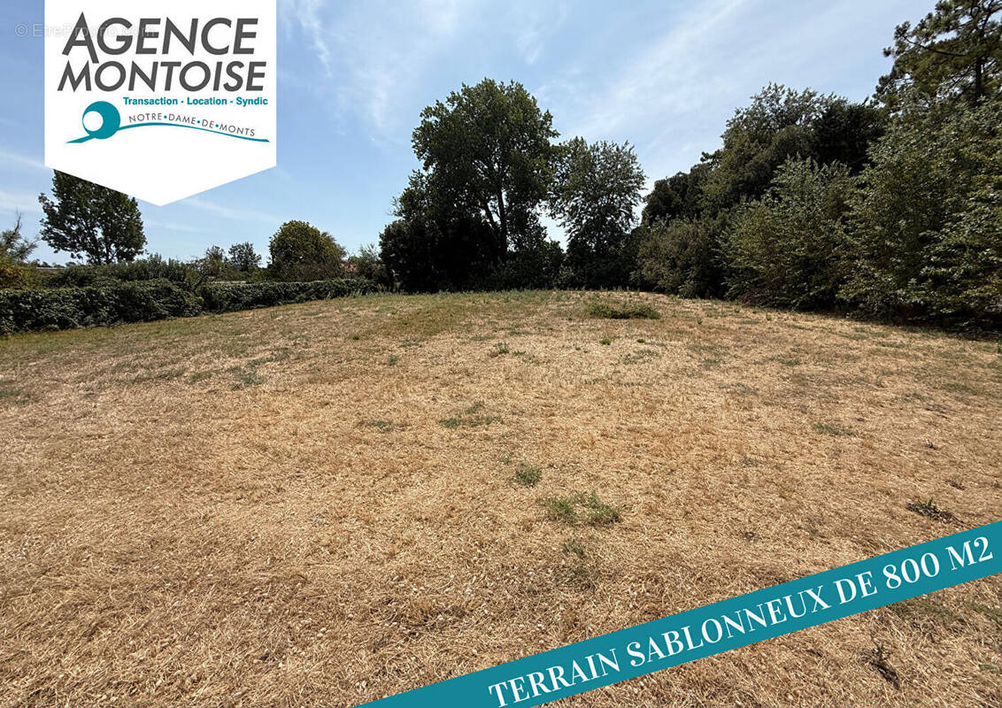 Terrain à NOTRE-DAME-DE-MONTS
