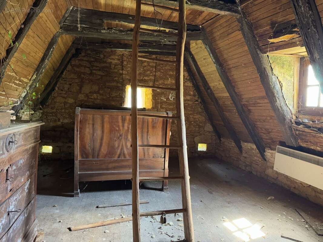 IMG2124 - Maison à BEYNAC-ET-CAZENAC