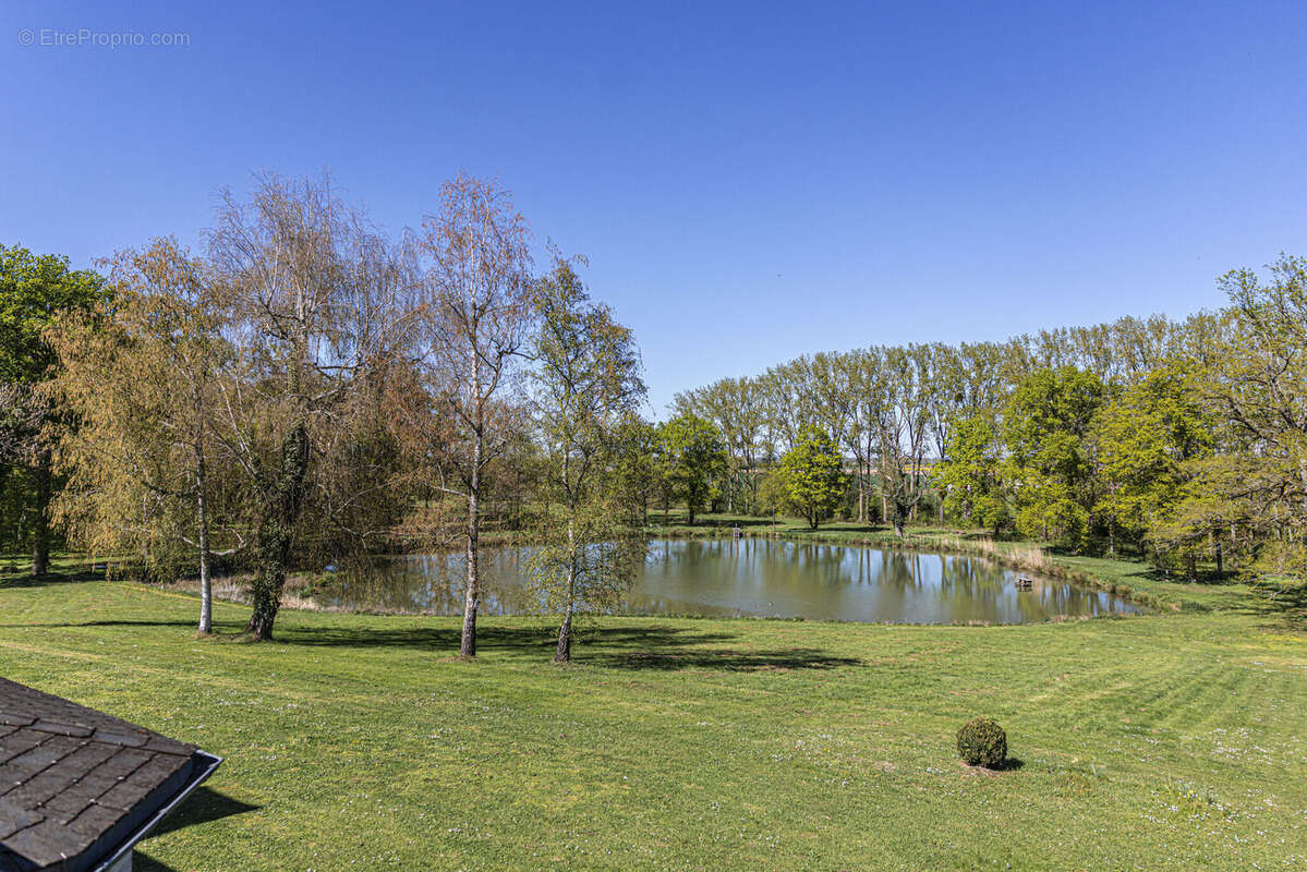 Photo 8 - Maison à SANDILLON
