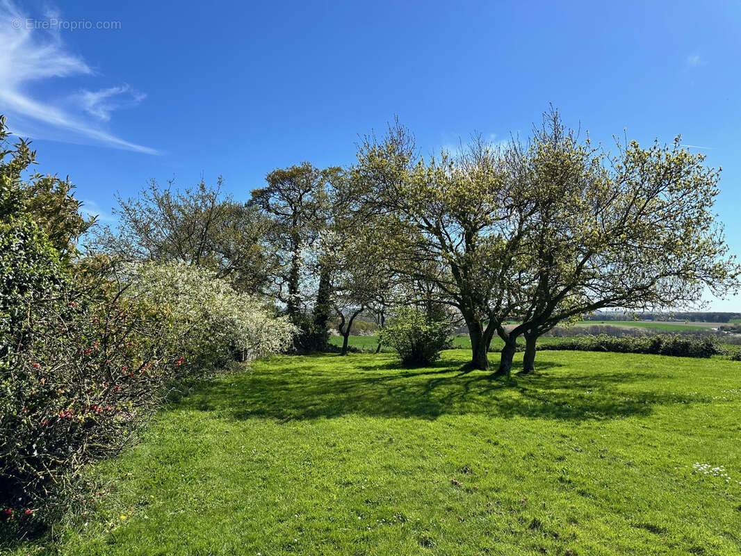 Maison à HENANBIHEN