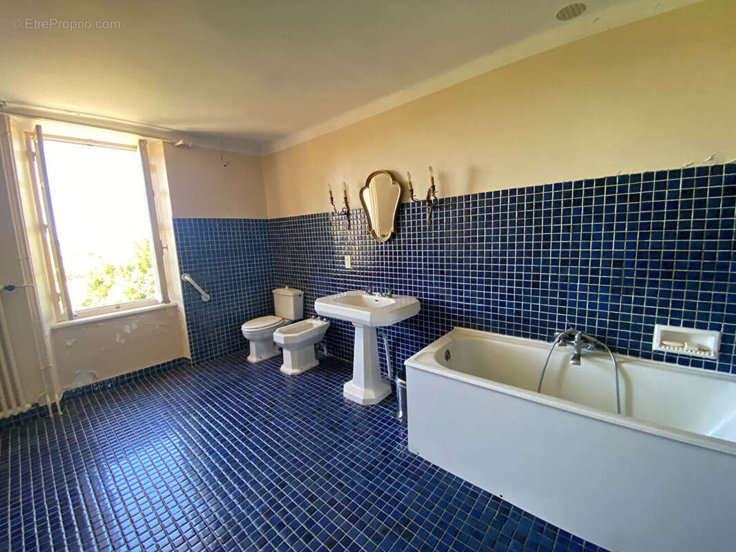 Propriété avec dépendances sur 2,5 ha - photo 14