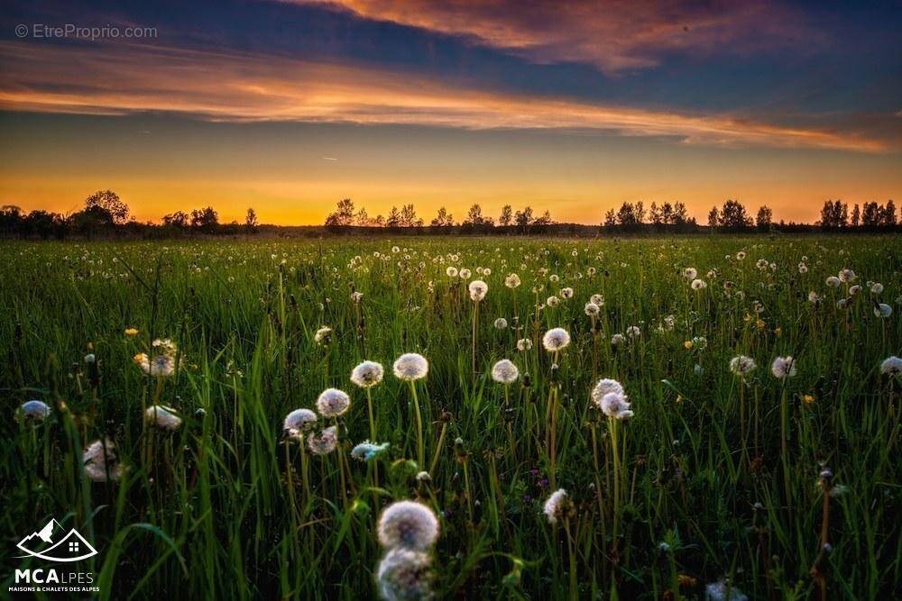 Terrain à ARTHAZ-PONT-NOTRE-DAME