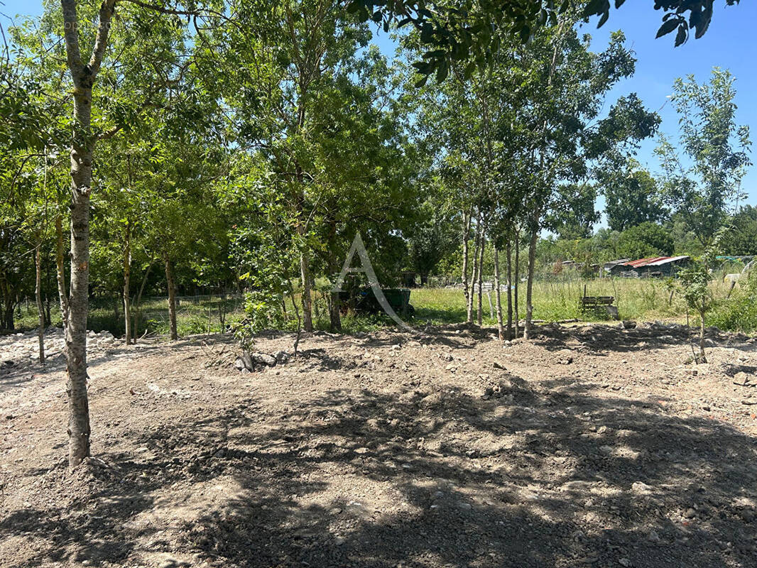 Terrain à LA TAILLEE