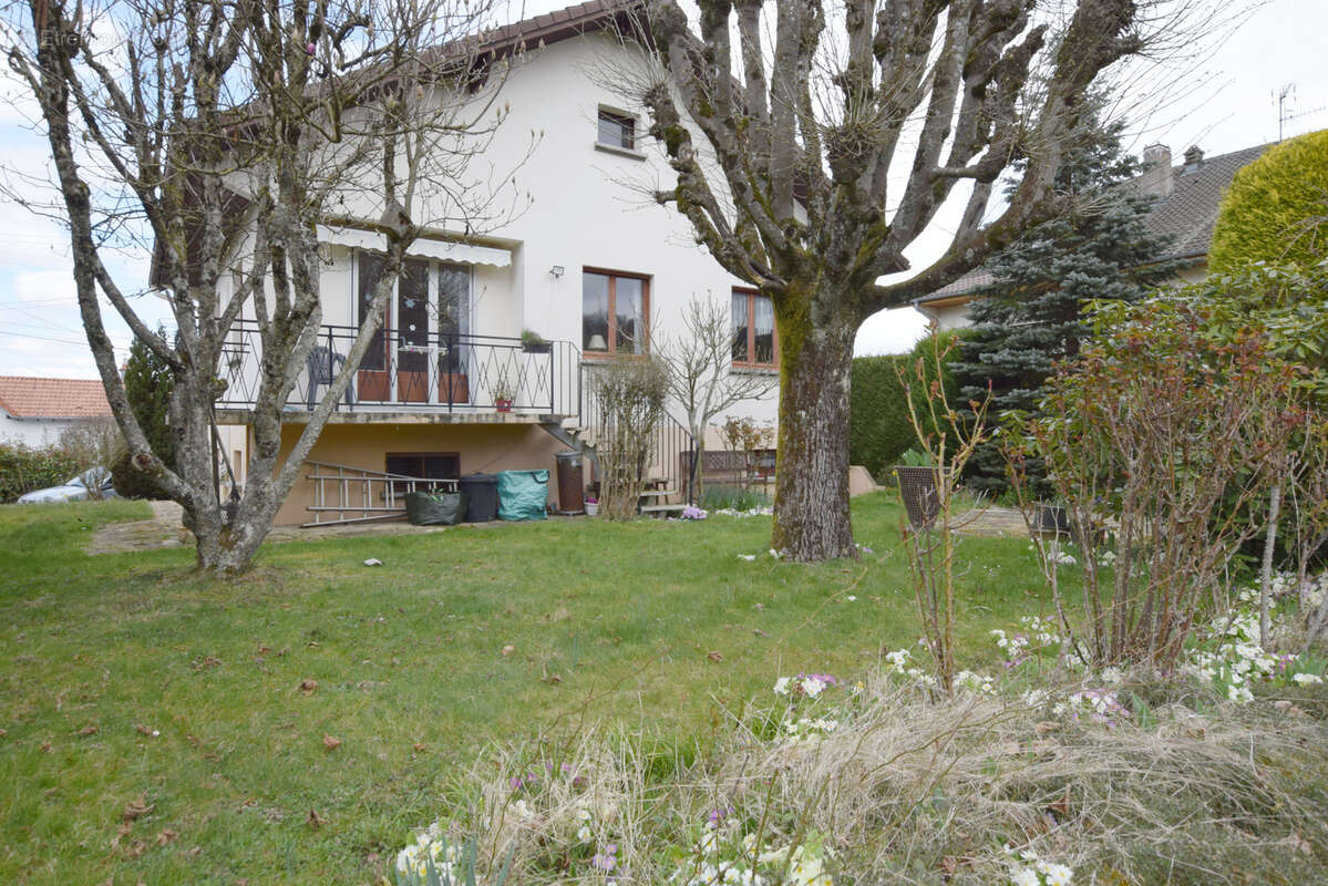 Maison à MONTBELIARD