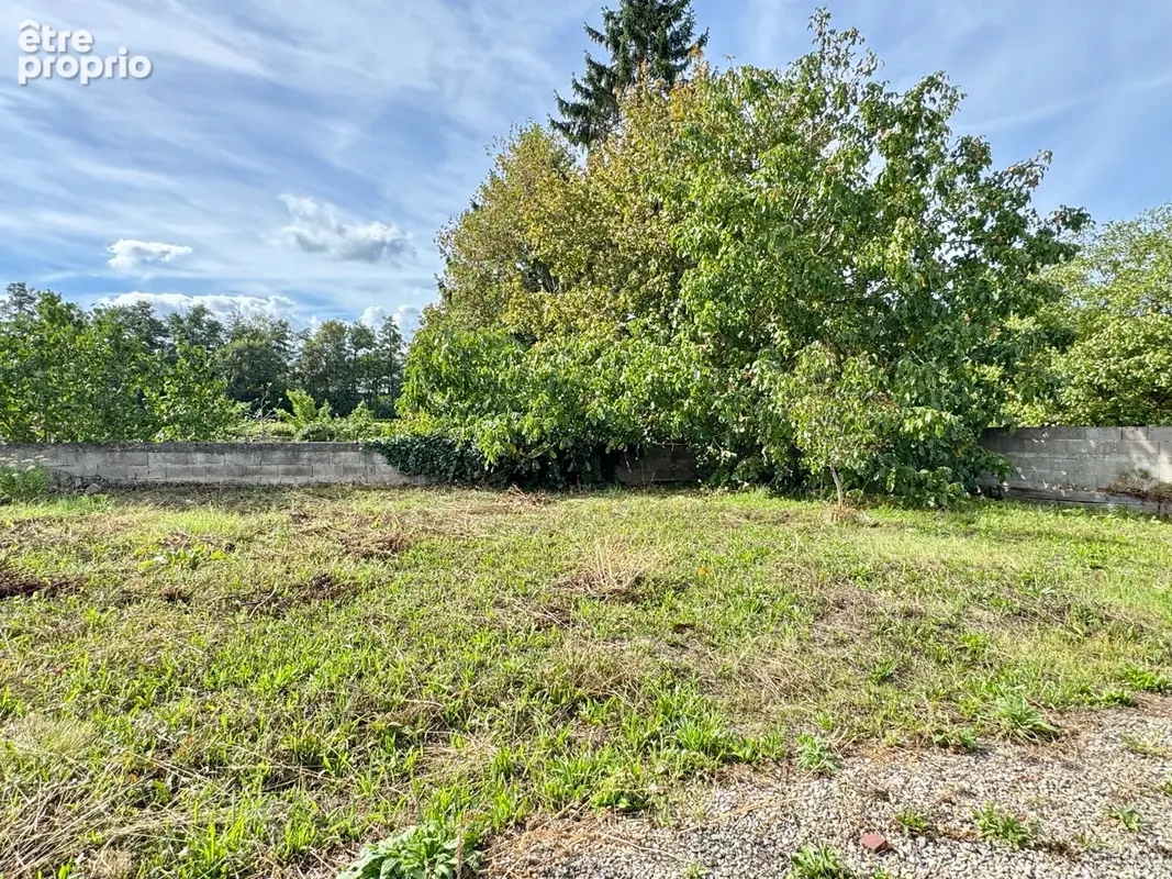 Dinsheim-sur-Bruche - duplex 4 pièces - 78,70 m2 - photo 3