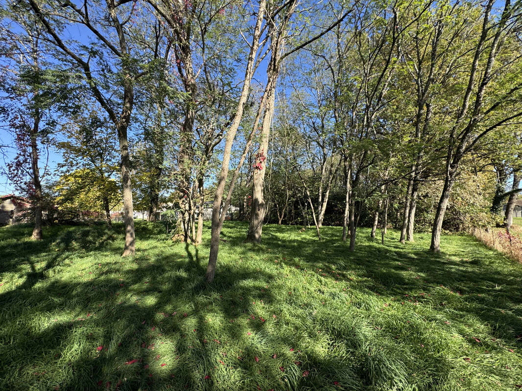 Terrain à SAINT-YZAN-DE-SOUDIAC