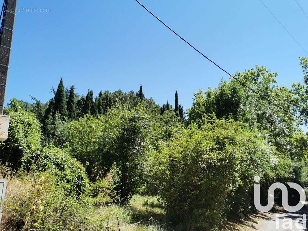 Photo 5 - Terrain à CENNE-MONESTIES