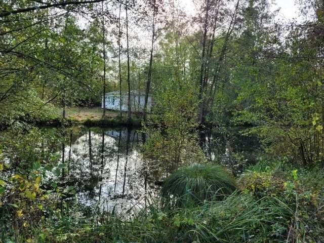 Terrain à STRASBOURG