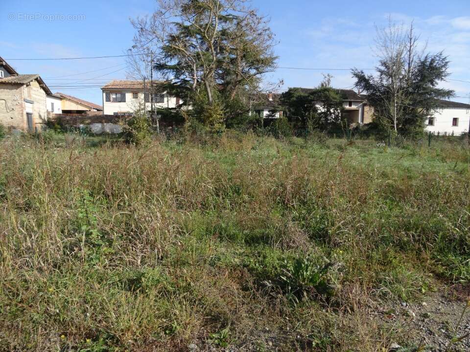 Terrain 450 m² à Grisolles  - photo 5