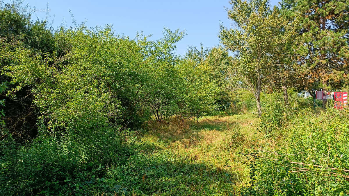 Terrain à VELAINE-SOUS-AMANCE