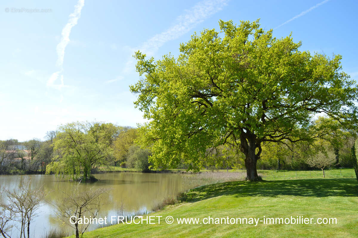 Maison à CHANTONNAY