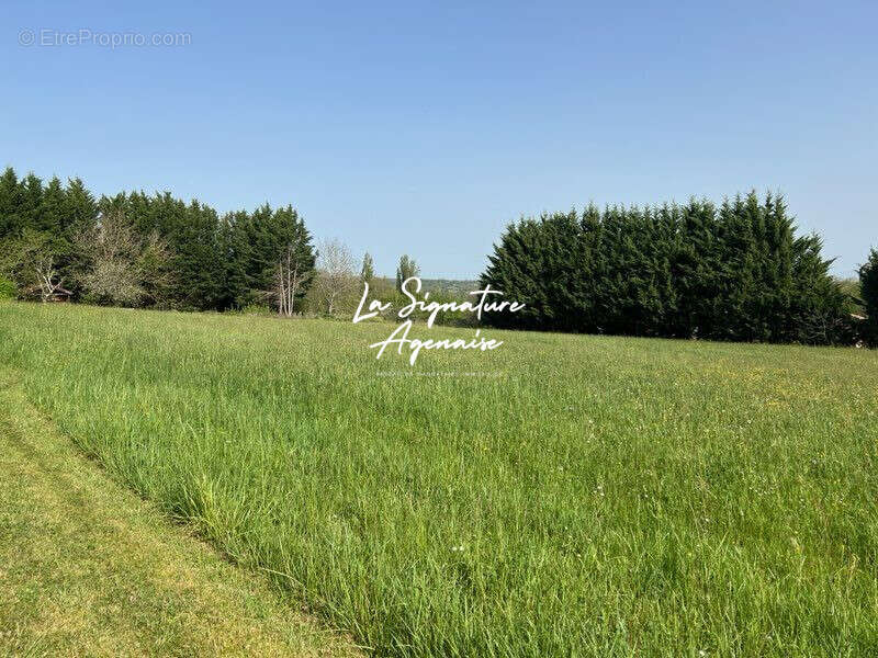 Terrain à SAINT-EUTROPE-DE-BORN