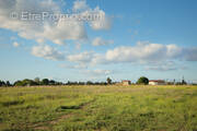 Terrain à LE CAILAR