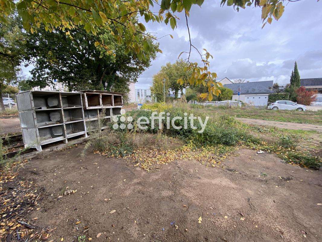 Terrain à SAINTE-LUCE-SUR-LOIRE
