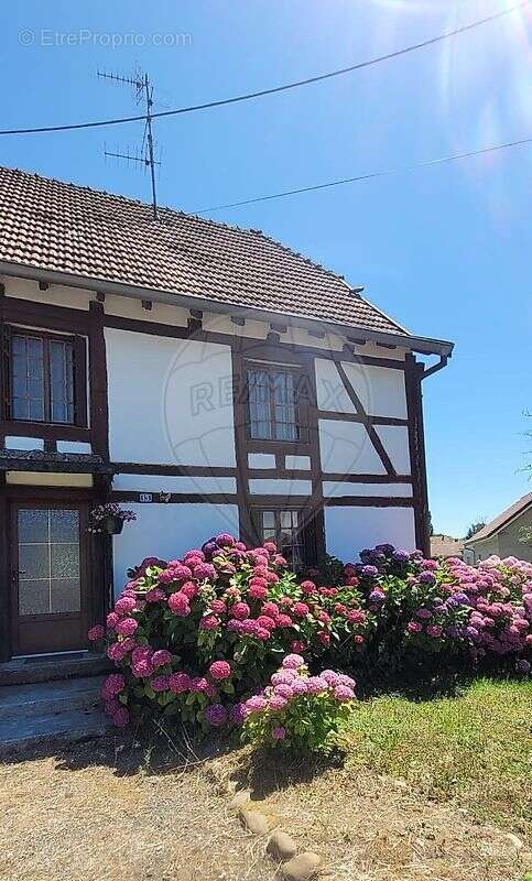 Maison à CHAVANNES-LES-GRANDS