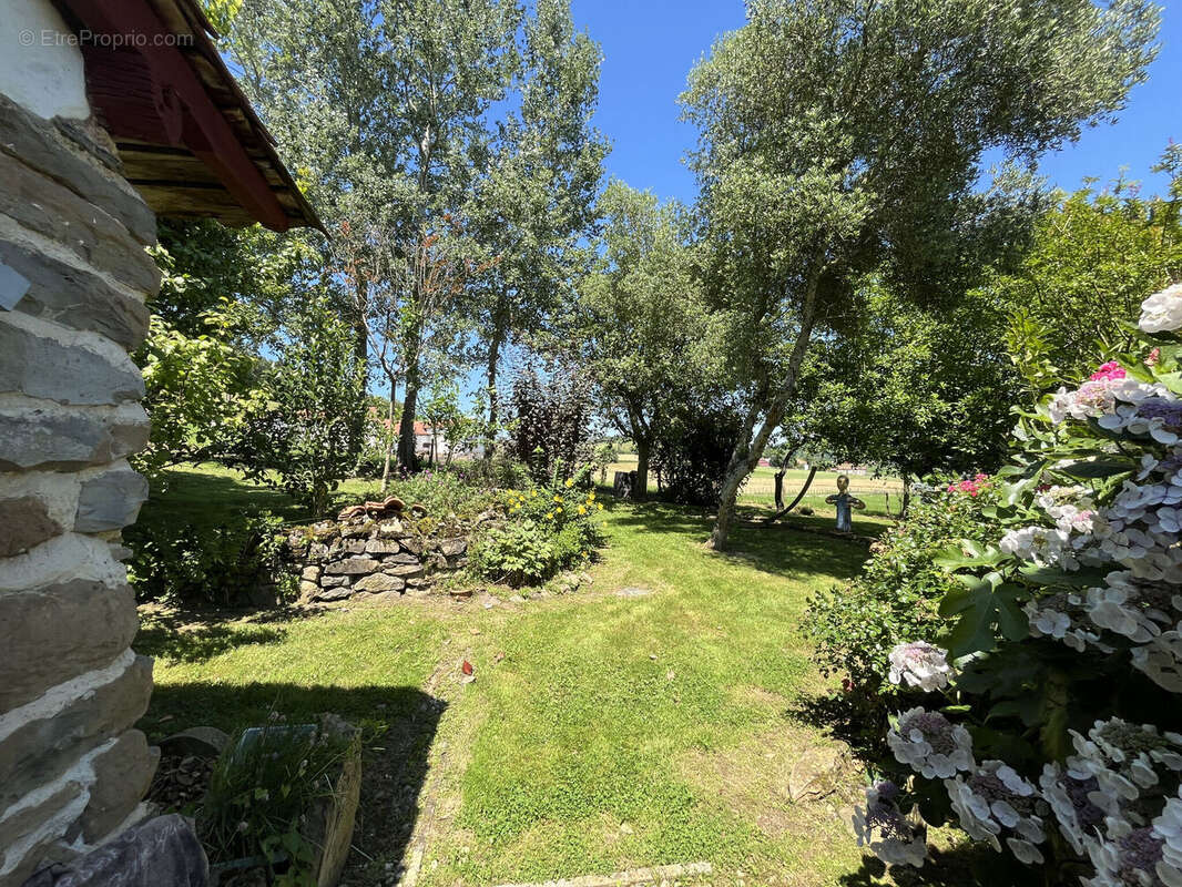 Photo 8 - Maison à SAINT-JEAN-PIED-DE-PORT