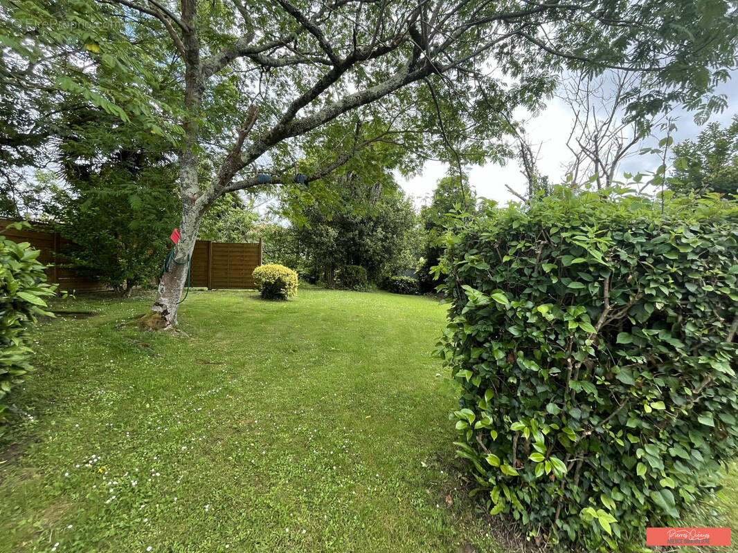 Terrain à SAINT-MARTIN-DE-SEIGNANX