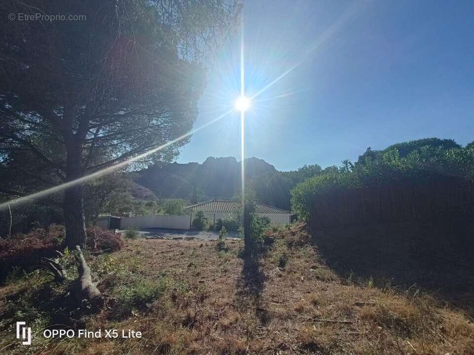Terrain à ROQUEBRUNE-SUR-ARGENS