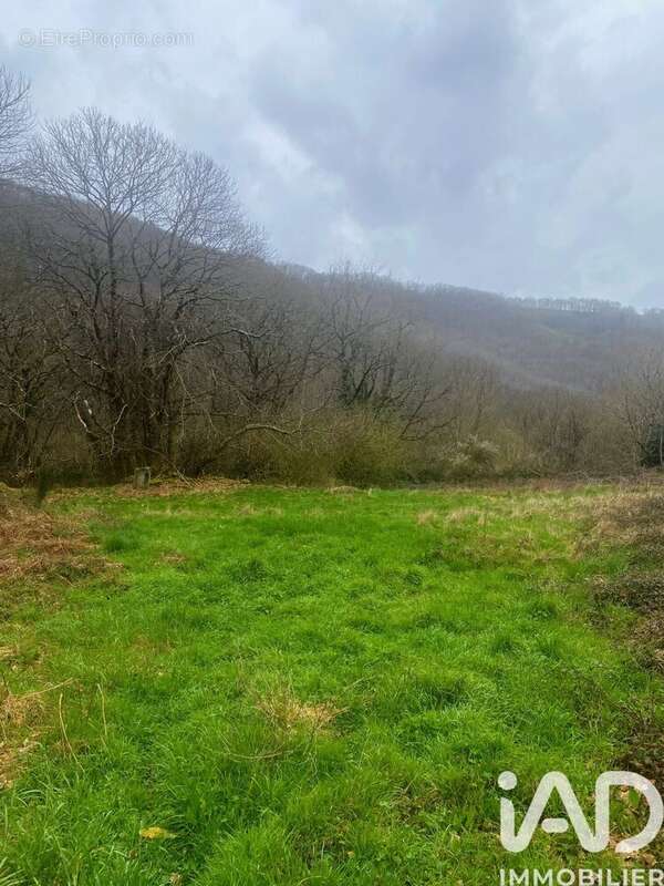 Photo 8 - Terrain à MARTRIN