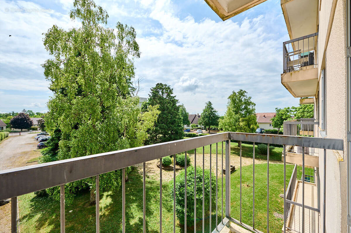 Photo 4 - Appartement à NUITS-SAINT-GEORGES