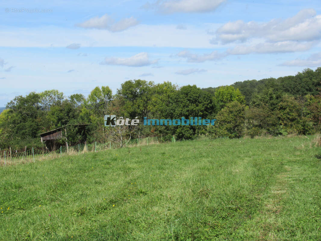 Terrain constructible - photo 5