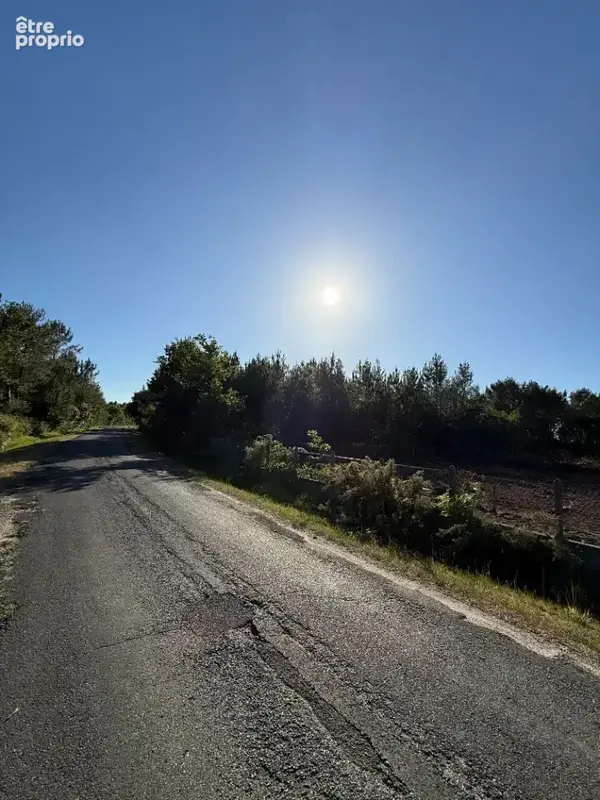 Terrain 750 m² à vendre à Lege-Cap-Ferret (33950) - photo 2