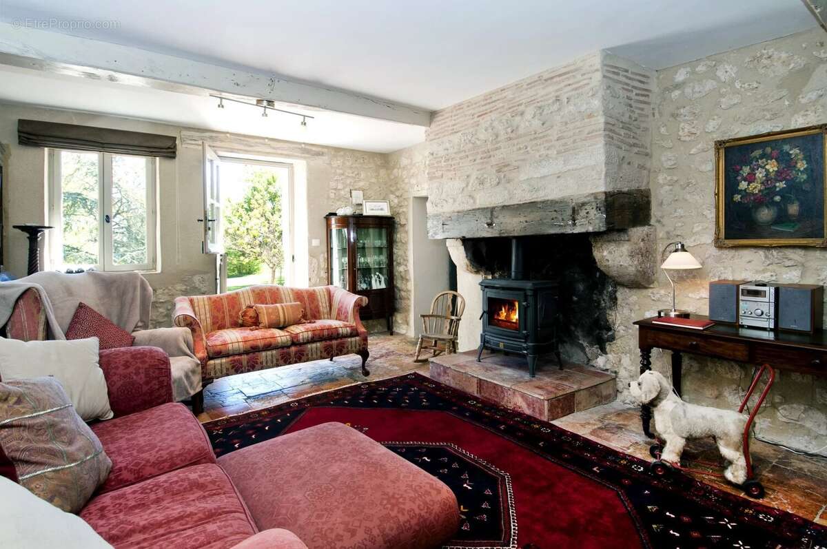 Domaine avec vignoble en activité, maison familiale, gîte, piscine et court de tennis - photo 13