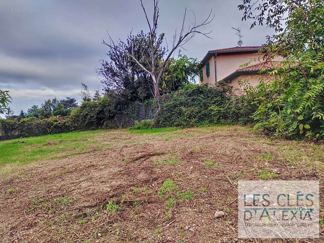 Terrain à REYRIEUX