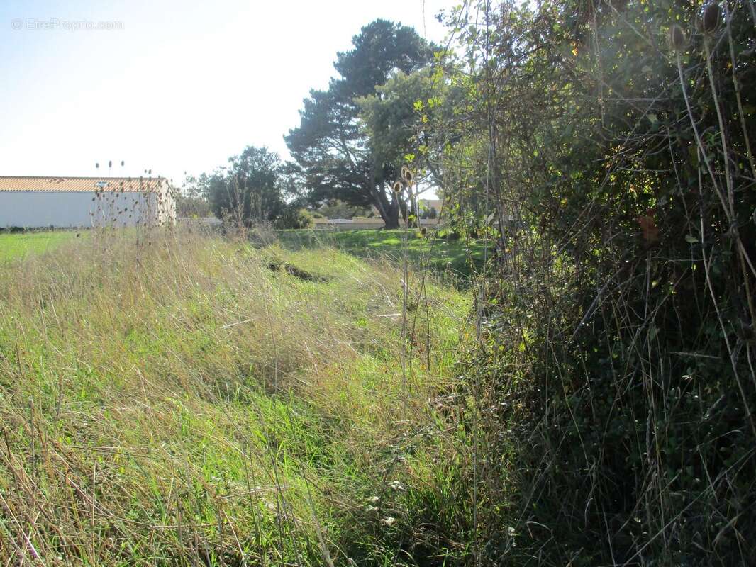 Terrain à BREM-SUR-MER