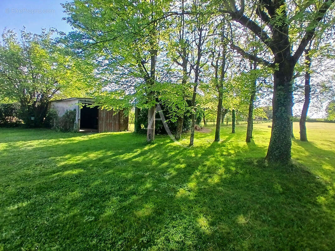 Maison St Georges Des Coteaux 3 pièce(s)  avec  parcelle de 3100 m² - photo 14