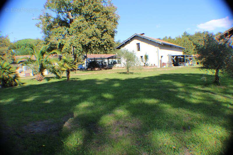 Maison à SAINT-PAUL-EN-BORN