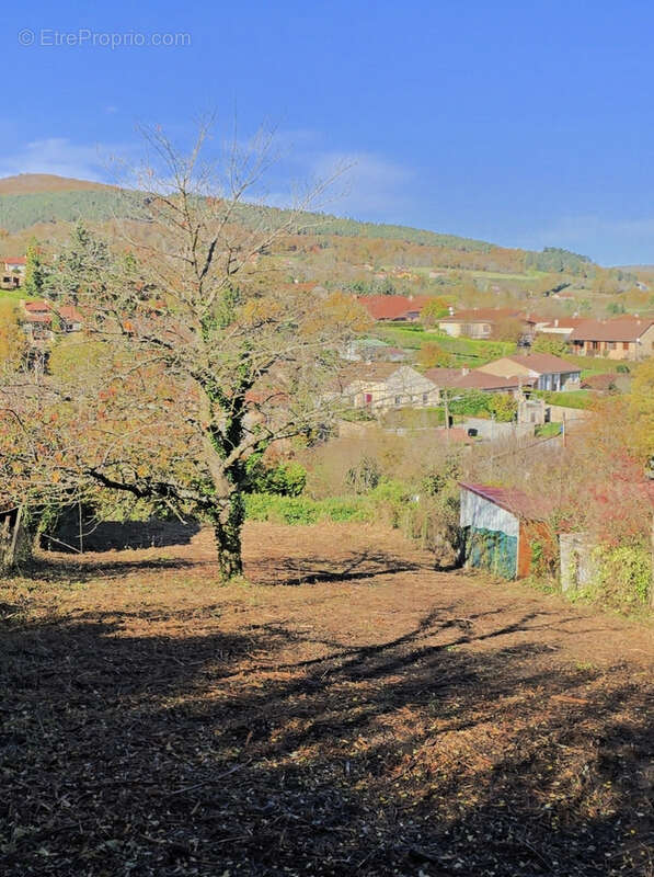 Terrain à COMBRONDE