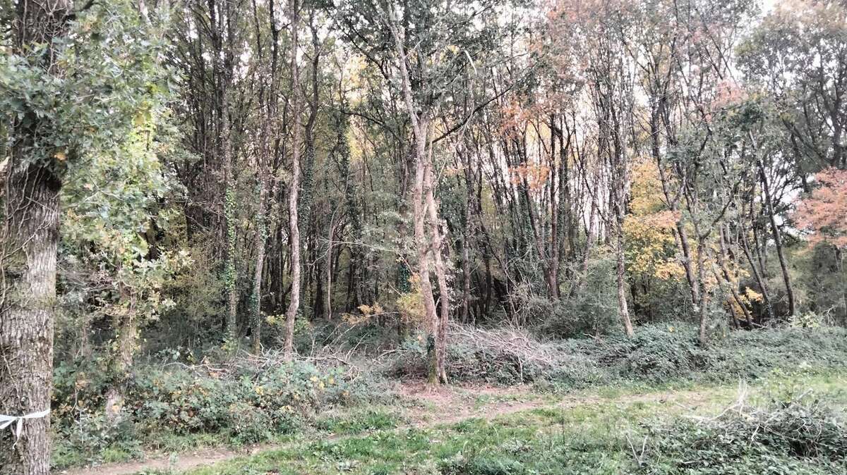 Terrain à VOUILLE