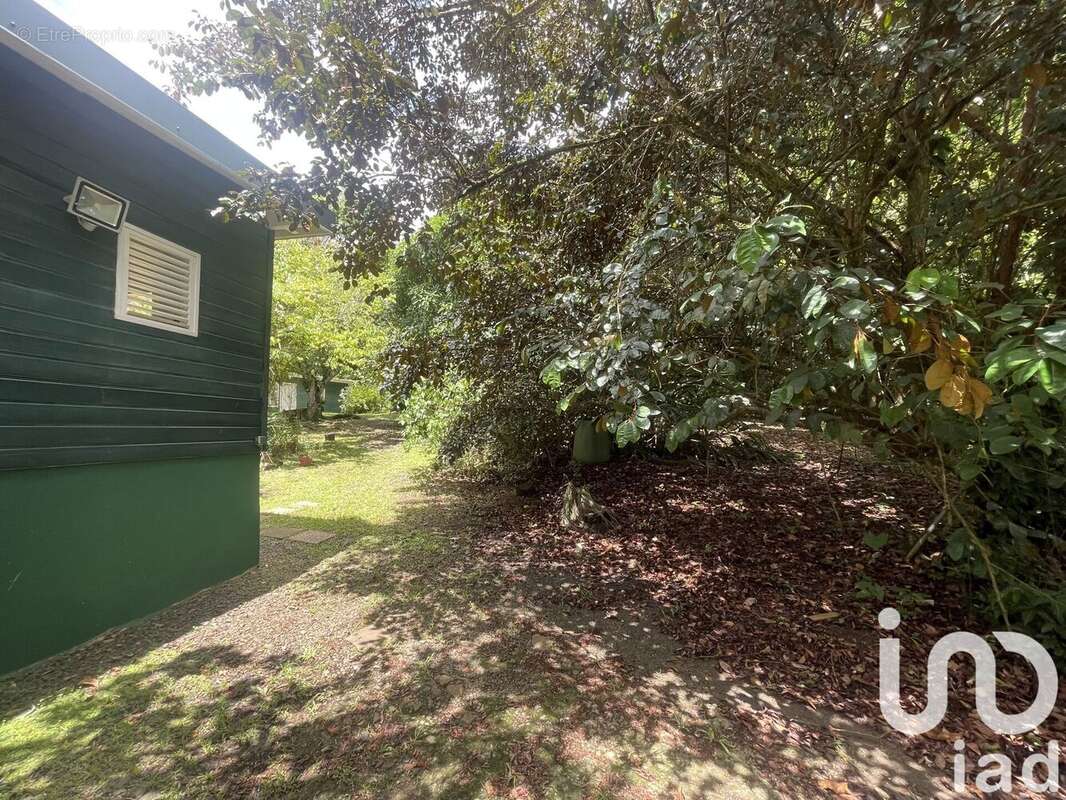 Photo 9 - Maison à RIVIERE-PILOTE