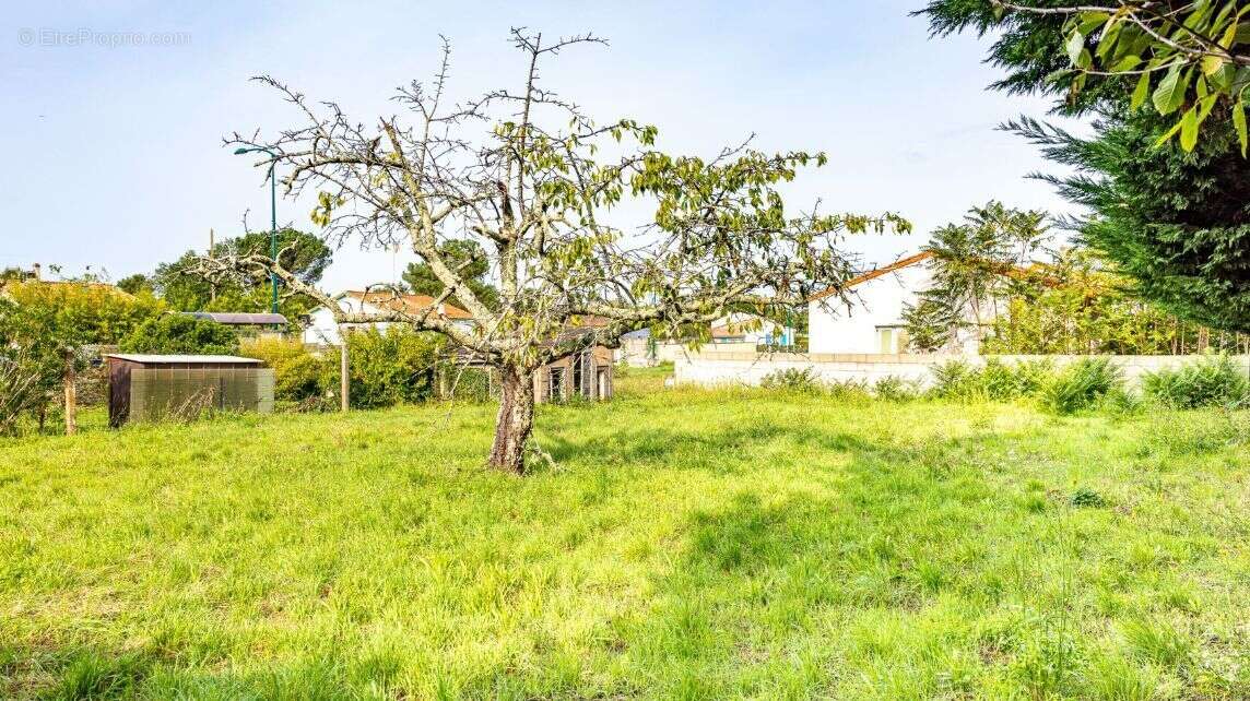 Terrain à SAINT-AUGUSTIN