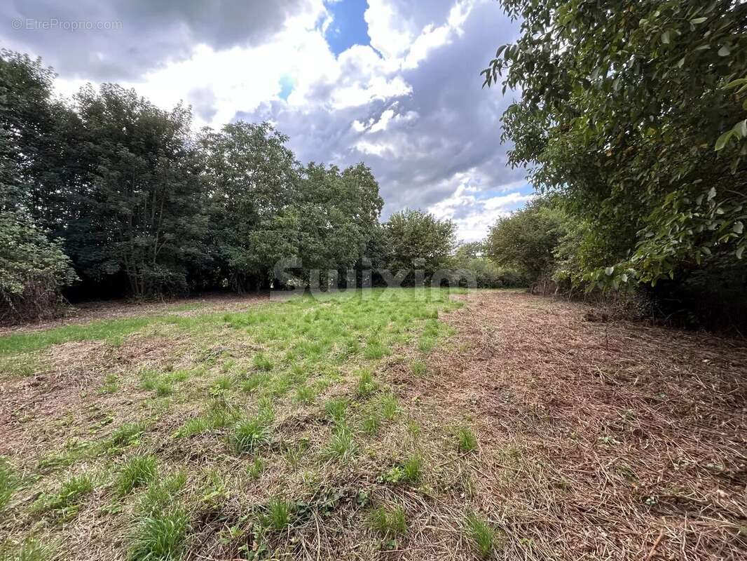 Terrain à QUARRE-LES-TOMBES