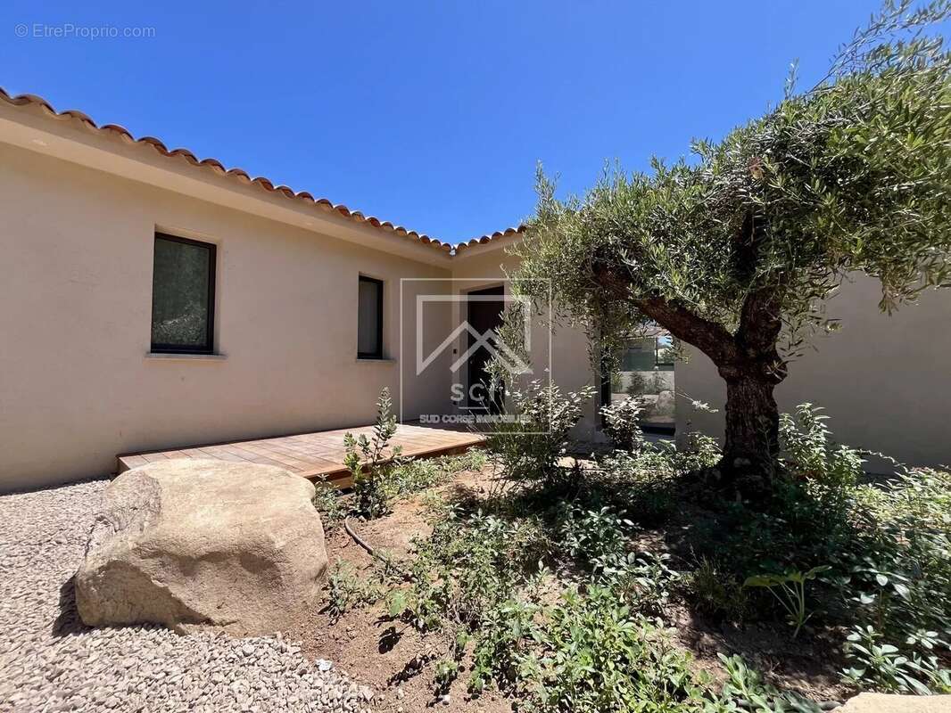 Maison à PORTO-VECCHIO