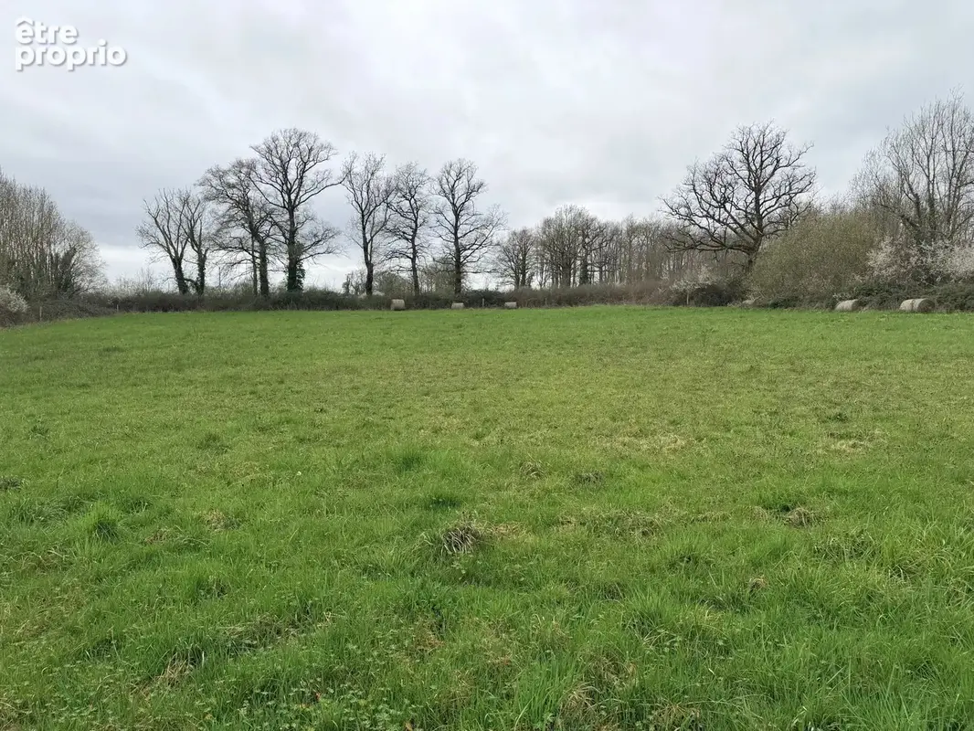 Maison de campagne avec maison d'amis attenante, terrain et enclos - photo 17