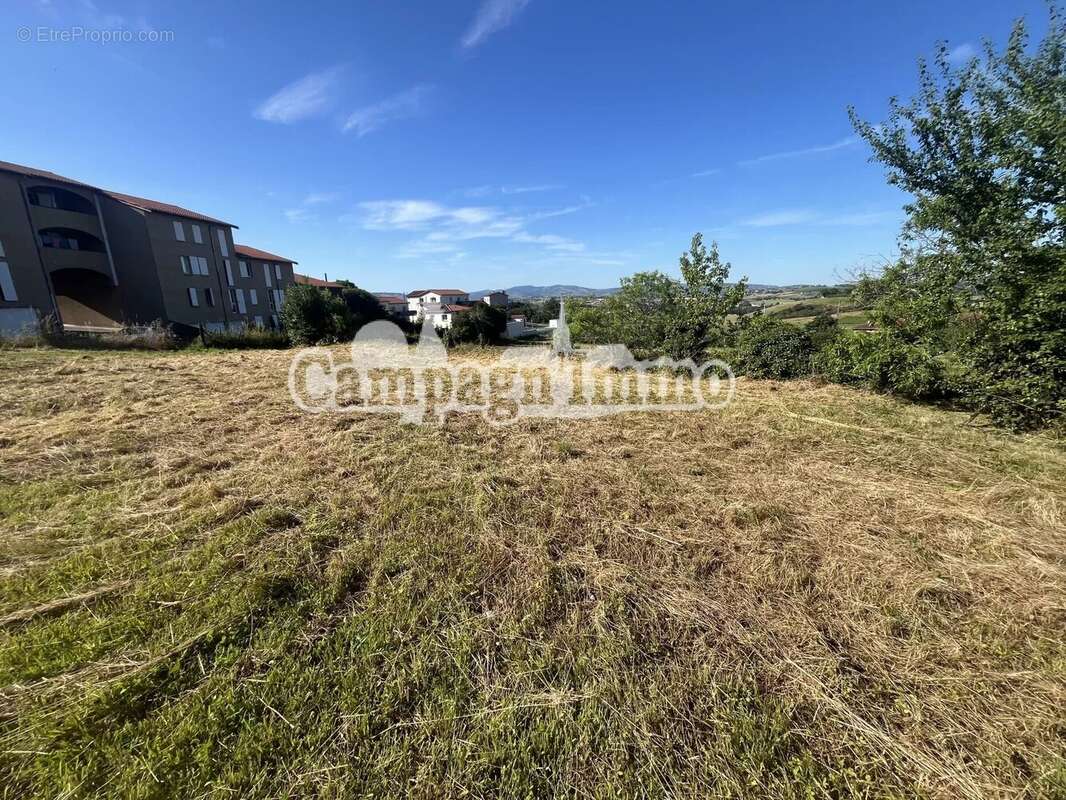Terrain à SAINT-ROMAIN-DE-POPEY