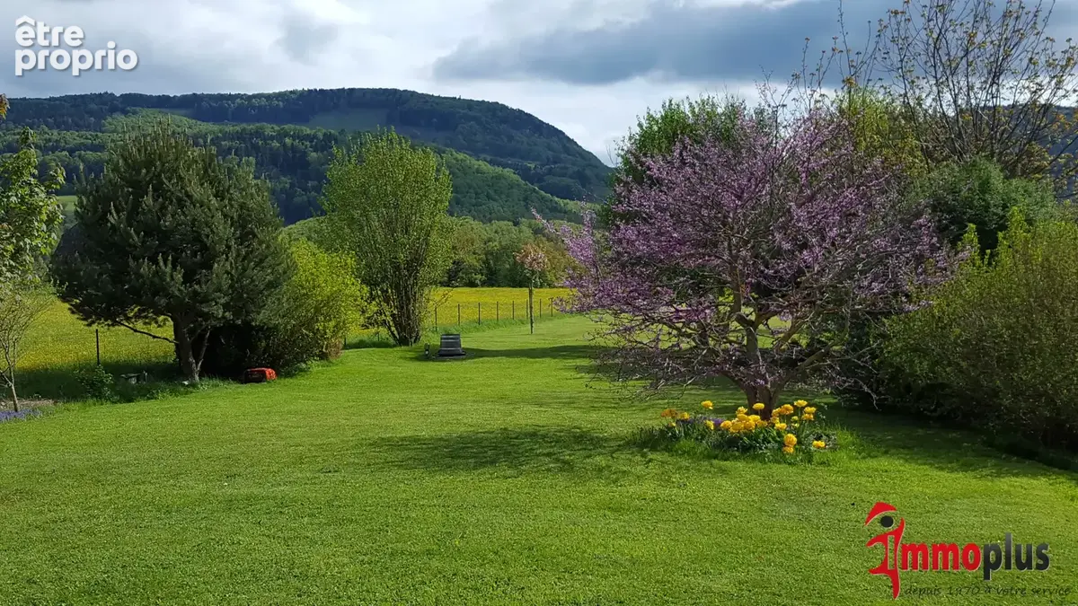 Kiffis   une maison où la nature invite au bien-être  198 m2  terrain de 27,8 ares - photo 33