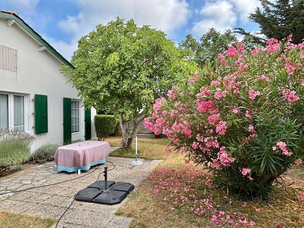 Maison À Vendre - photo 15