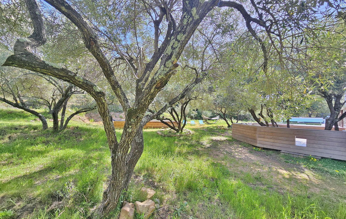 Maison à PIETROSELLA