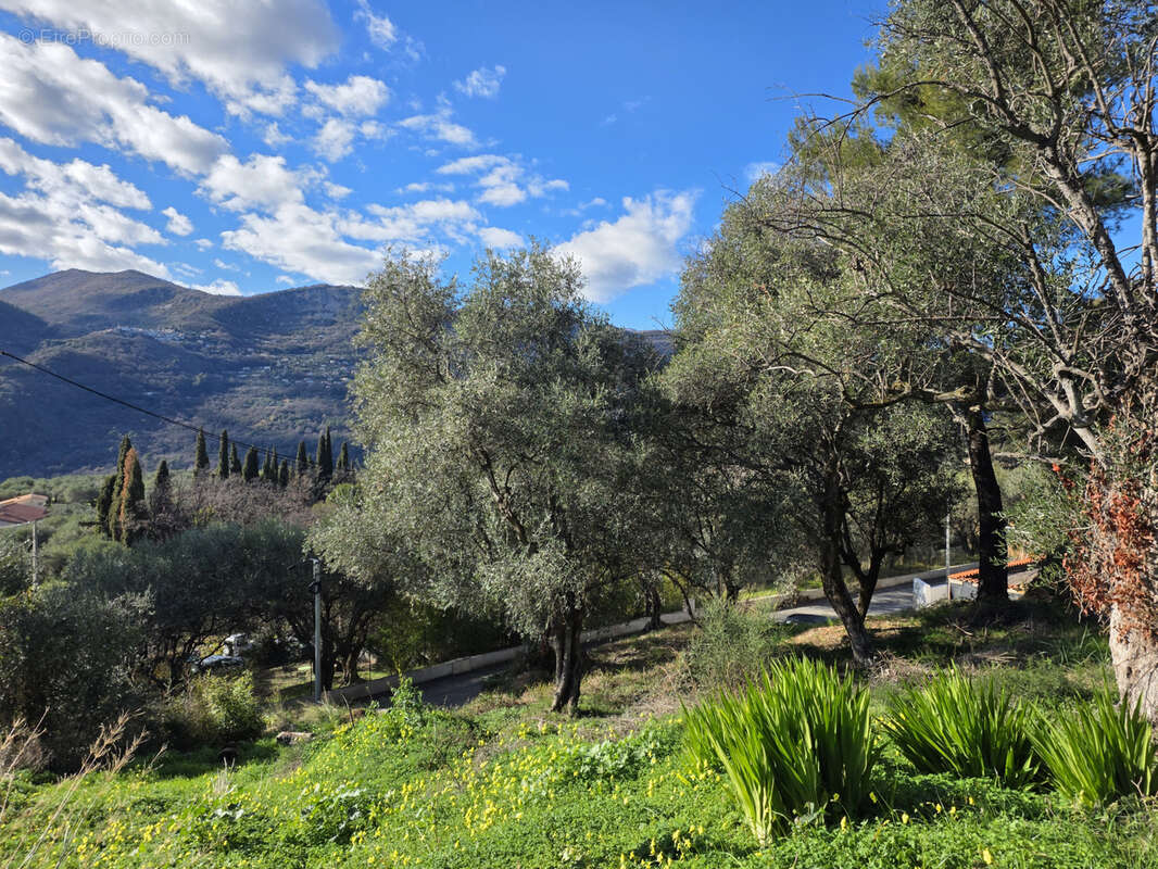 Terrain à SAINT-MARTIN-DU-VAR