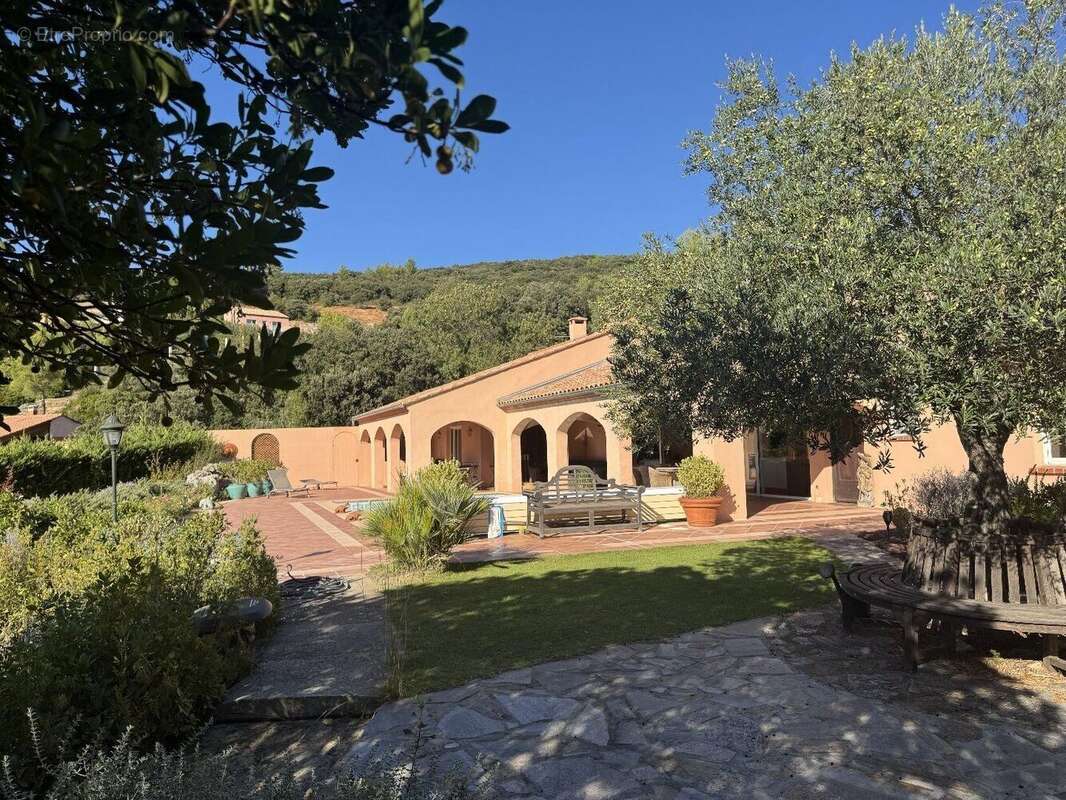 Photo 7 - Maison à SAINT-CHINIAN