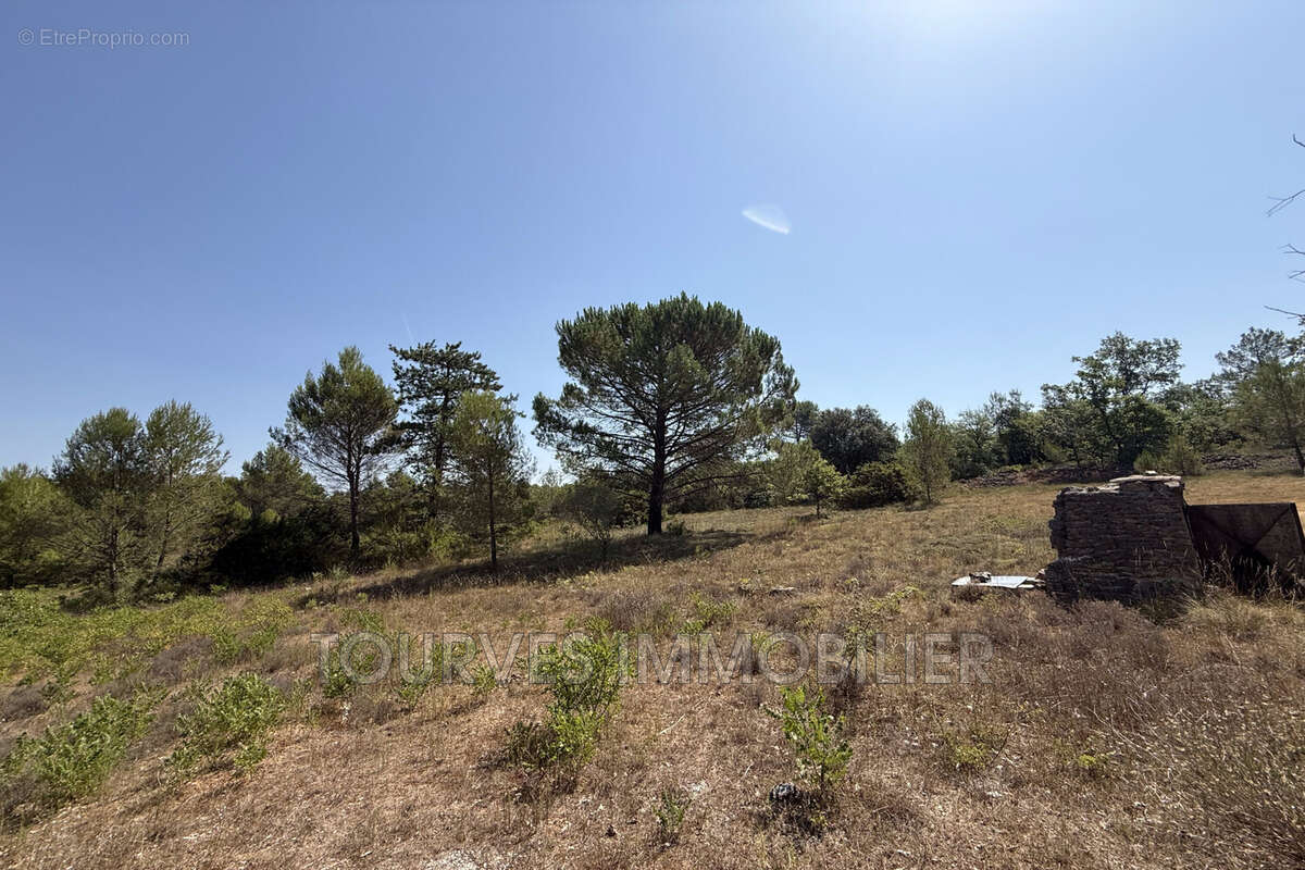 Terrain 6198 m² à Rougiers  - photo 4