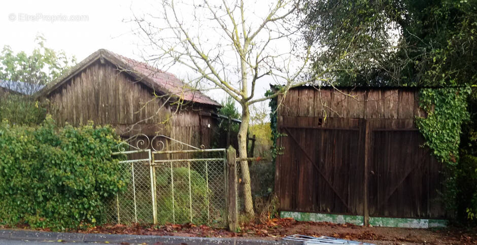 Terrain à THENEUILLE