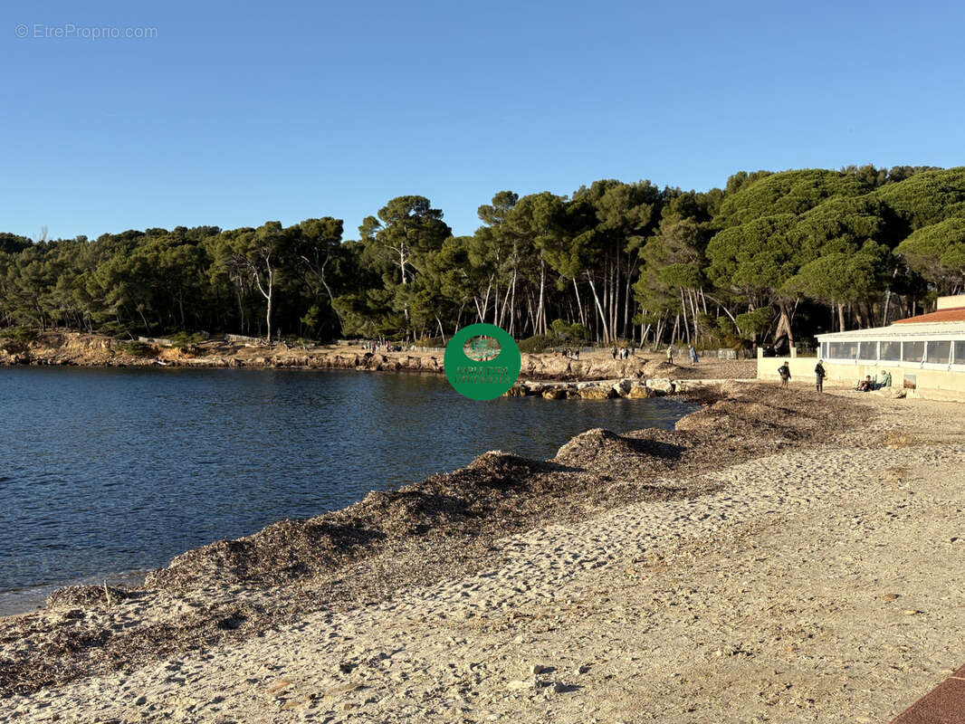 Appartement T3 à vendre Quartier Pin Rolland   Saint-Mandrier-sur-Mer (83) - photo 6