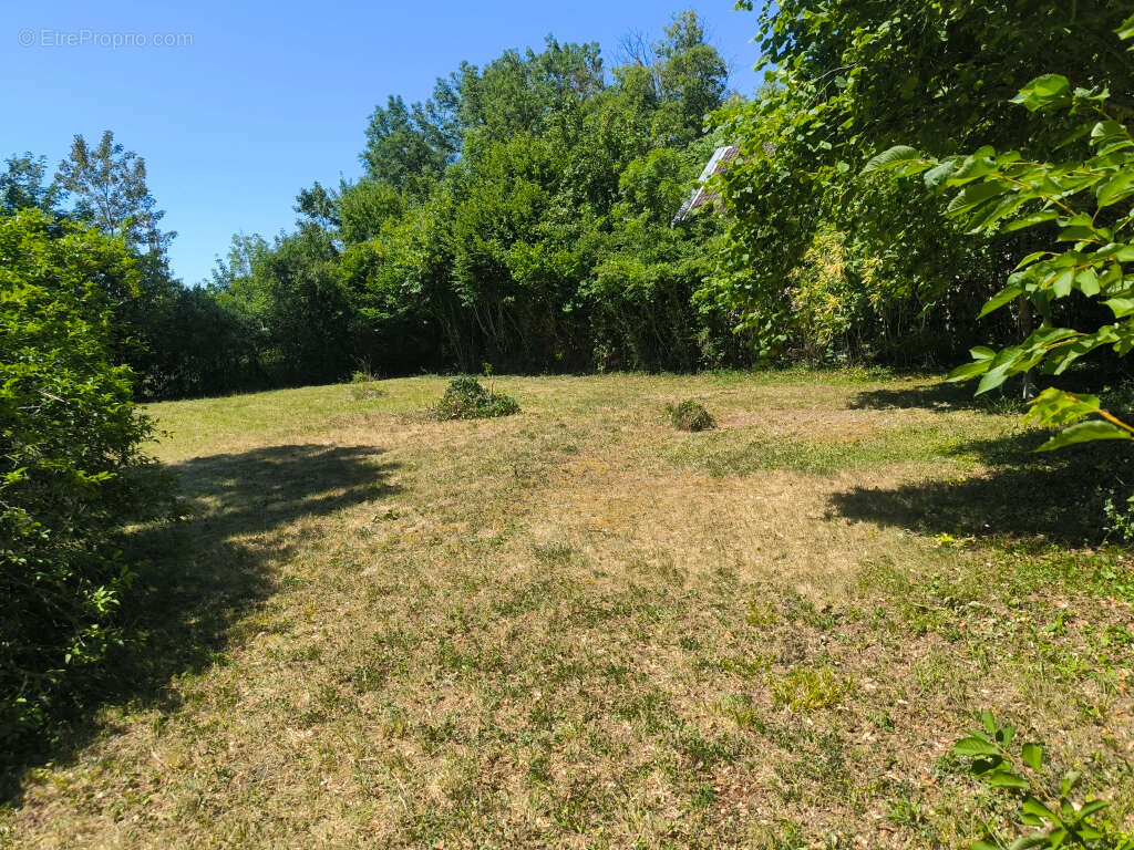 Terrain Vulaines Sur Seine 1349 m2 - photo 3