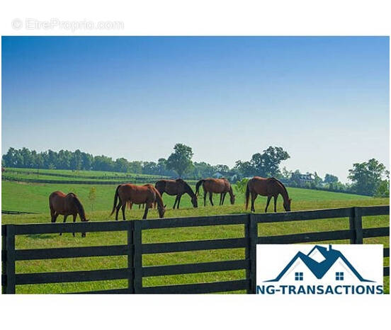 Maison à TANNERRE-EN-PUISAYE