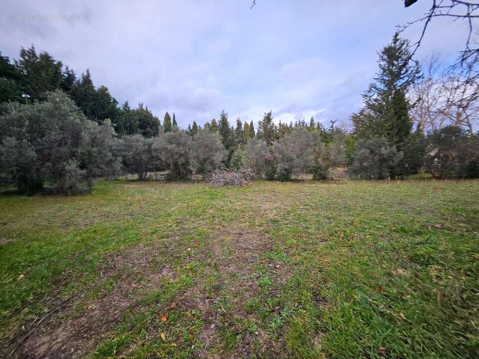 Terrain à MAUSSANE-LES-ALPILLES